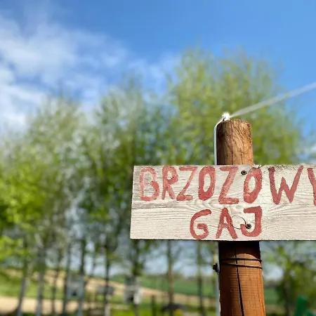 Brzozowy Gaj
