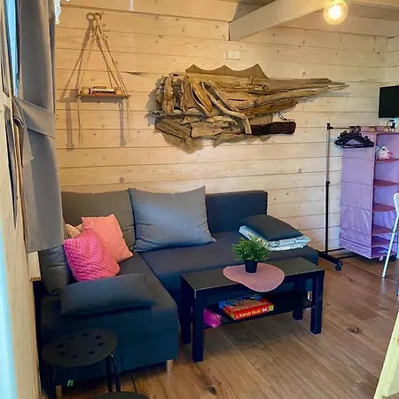 Brzozowy Gaj * Bachowice