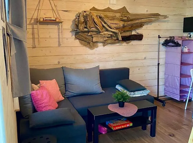 Brzozowy Gaj * Bachowice