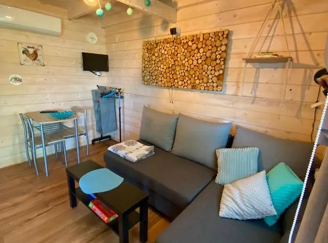 Brzozowy Gaj Bachowice