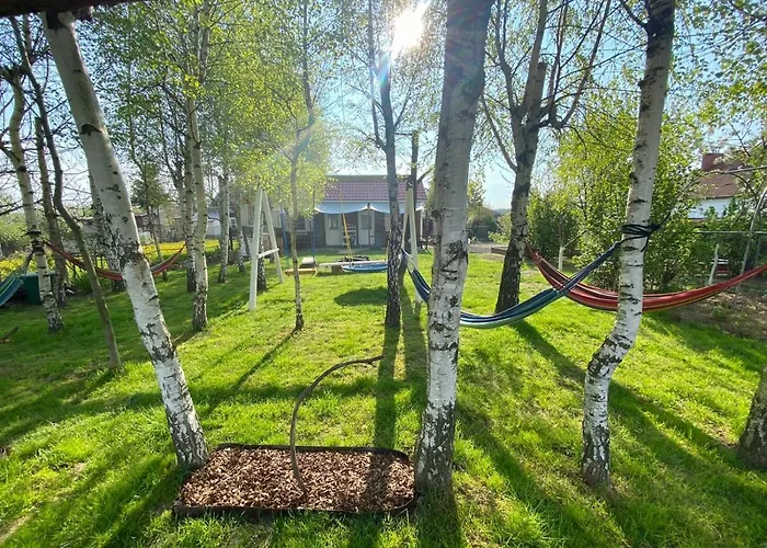 Brzozowy Gaj Bachowice